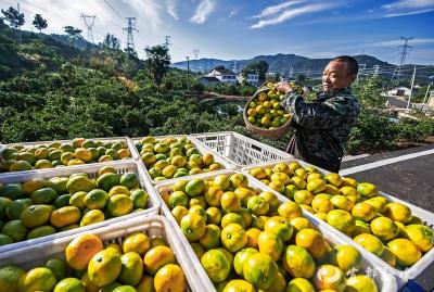 民富村强是这样“炼”成的……