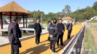 市人大督办水利局、农业局承办代表建议办理情况