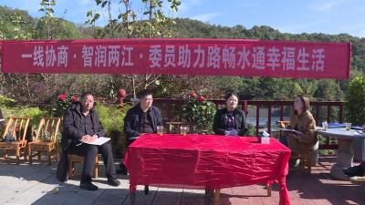 市政协开展“一线协商·智润两江·委员助力路畅水通幸福生活”协商活动