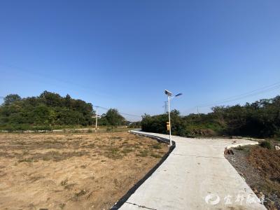 宜都：一场湾落会催生一条“产业路”