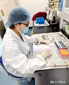 开展动物抗体检测监测 筑牢动物防疫“防火墙”