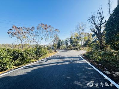 同心聚力共缔造 乡村道路“焕新颜”