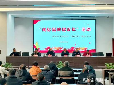 商标品牌如何建立与保护？这场培训会为企业“划重点”