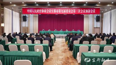 市政协九届三次会议召开中共党员委员会议
