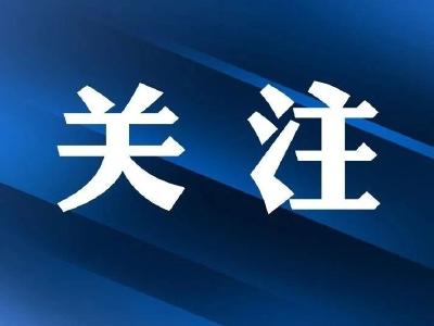 宜昌市低温雨雪冰冻天气防范应对工作视频会议召开
