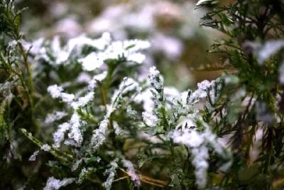 严阵以待 当好冰雪“哨兵”