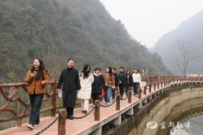 精彩纷呈！全市各地庆祝“三八”国际妇女节