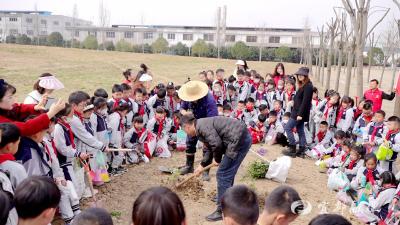 宜都创新实验学校开展义务植树活动