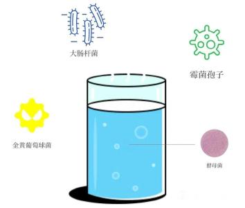 上班前VS下班后洗杯子，哪个更健康？