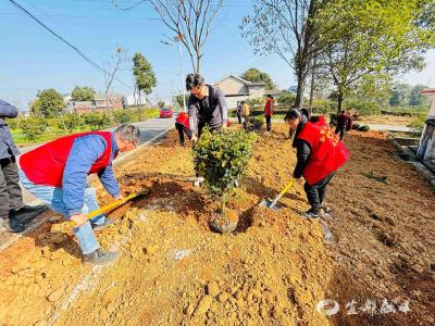 乡贤聚“绿”，共绘“家乡景”