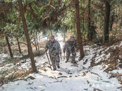 坚守护林防火一线，守护绿水青山 