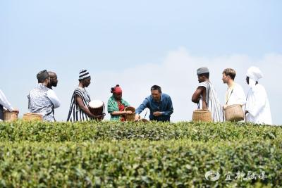 【荆楚网】宜都邀请留学生深度体验茶文化 助力宜红茶开拓国际市场