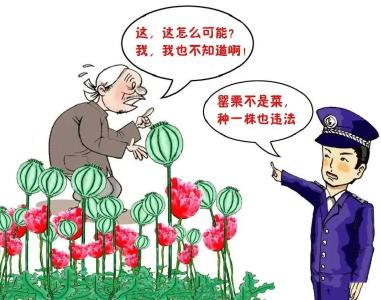 清江社区共创无毒净土