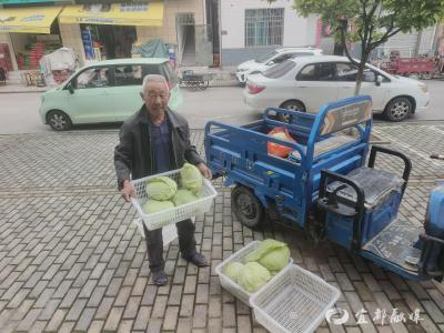 小菜园牵手大食堂，居家养老更有“滋味”