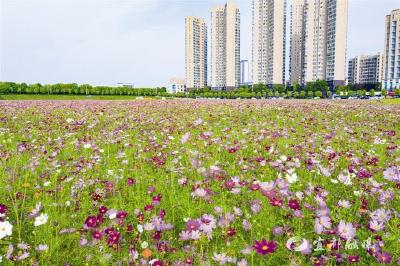 【三峡日报】图片新闻