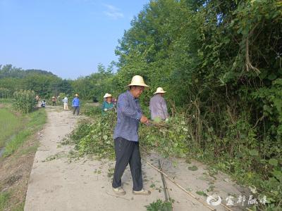 路宽了，河亮了！干群聚力共同缔造美丽家园