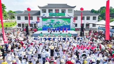 茶韵土风：探秘潘家湾土家族乡旅游的独特风情