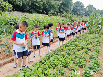 小学初体验：真有趣！