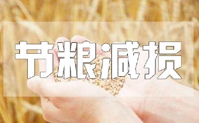 全链条节粮，让粮食从田间到餐桌“颗粒归仓”