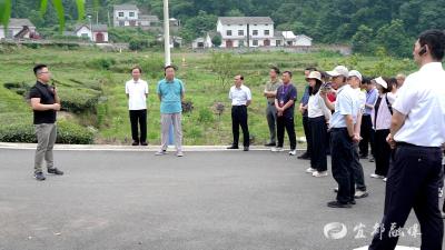 省委党校2024年春季学期县处级干部进修班来宜都开展现场教学