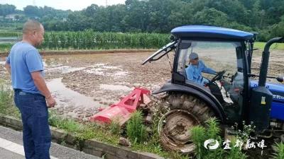 【学习强国】湖北宜都：返乡能人“慧”种田，引领乡村“机械风”