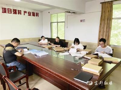 【三峡商报】枝城镇组织专班开展“三资”财务检查