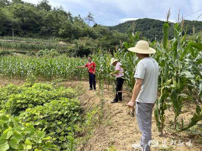 荒地“大点兵”