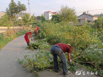 全域洁净显成效，道路面貌焕新颜