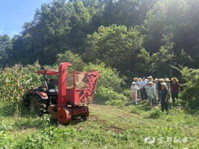 潘家湾土家族乡秸秆综合利用率达到96%