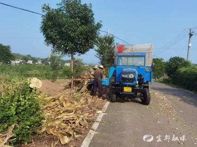 “负担”变“财富”，梁家畈村秸秆利用开启新篇章