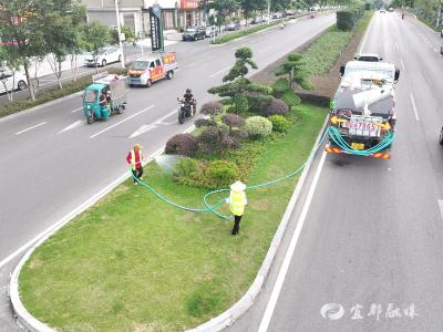 宜都城投：为绿化苗木“降温解渴”