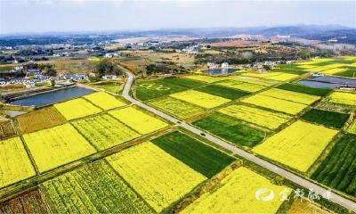 【三峡日报】夯实良田“耕”基 守护“宜昌粮仓”