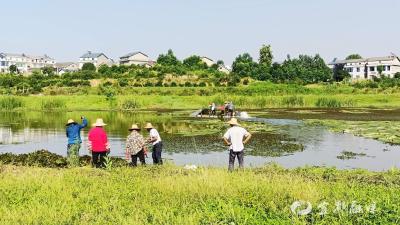 “捞出”乡村水清景美