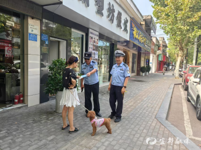 整治中！爱犬护犬，从文明养犬开始