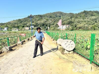 大家齐动手 村庄变了样