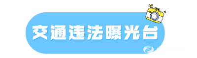 闯红灯、超速，这些车辆被曝光了！