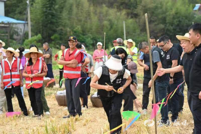 赛农技，庆丰收，共绘乡村振兴好图景