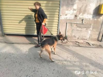 为烈性犬套上“文明绳”