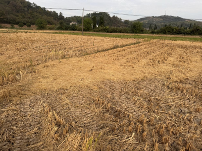 还田+离田+收储运用，宜都弹响“秸”尽所能“变奏曲”