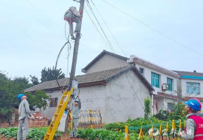 增线、建站仅用三天！“干渴”橘园体验“供电速度”