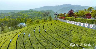 “和美”为笔绘新景