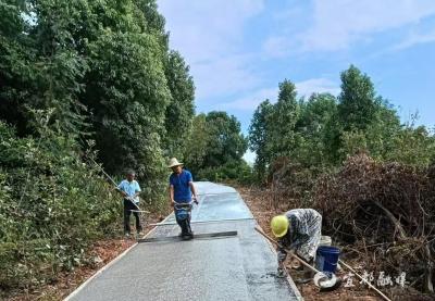 铺就群众金色“致富路”