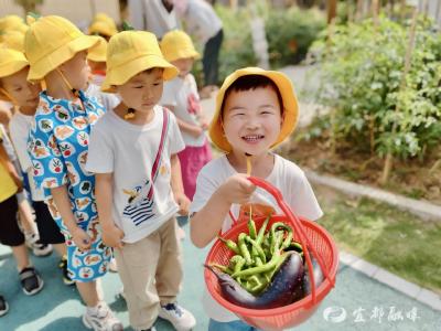 “一粒种子的旅行”