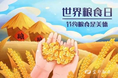 世界粮食日 | 反对浪费 崇尚节约——爱惜粮食，从我做起