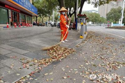 “伴随式”“全天候”保洁开启！宜都城管落叶与扬尘齐整治