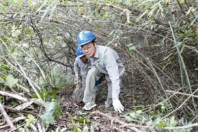 【三峡商报】清理树障除隐患 迎峰度冬保安全