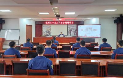 宜都市消防救援大队多措并举学习贯彻落实党的二十届三中全会精神