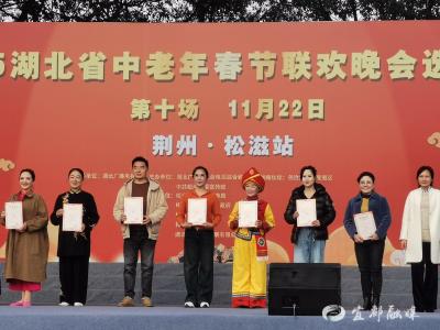 宜都市文化馆青荷艺术团获省中老年春节联欢晚会选拔赛银奖