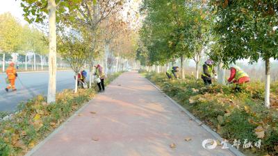 城区树木“换新装”