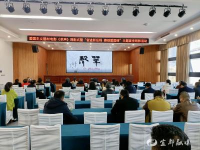 宜都侨界集中观看爱国主义题材电影《单声》